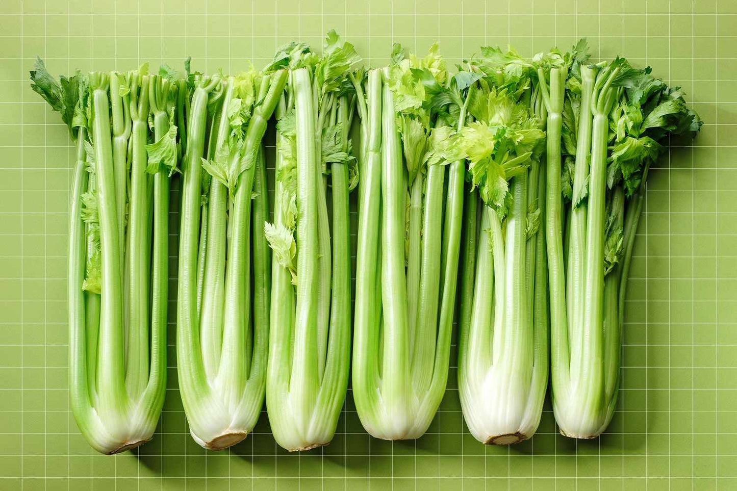 celery bunch