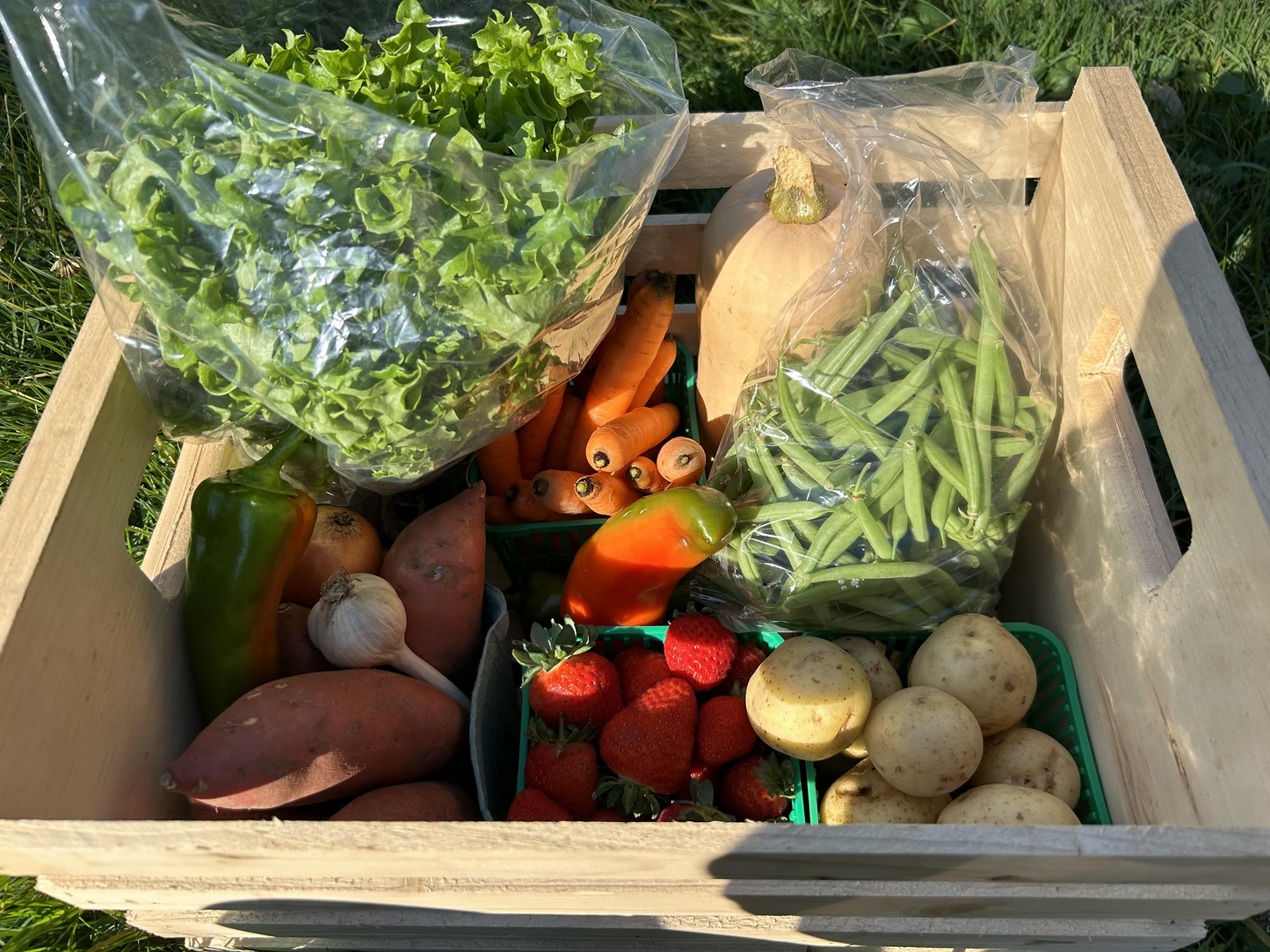 2025 One-Time Produce Box