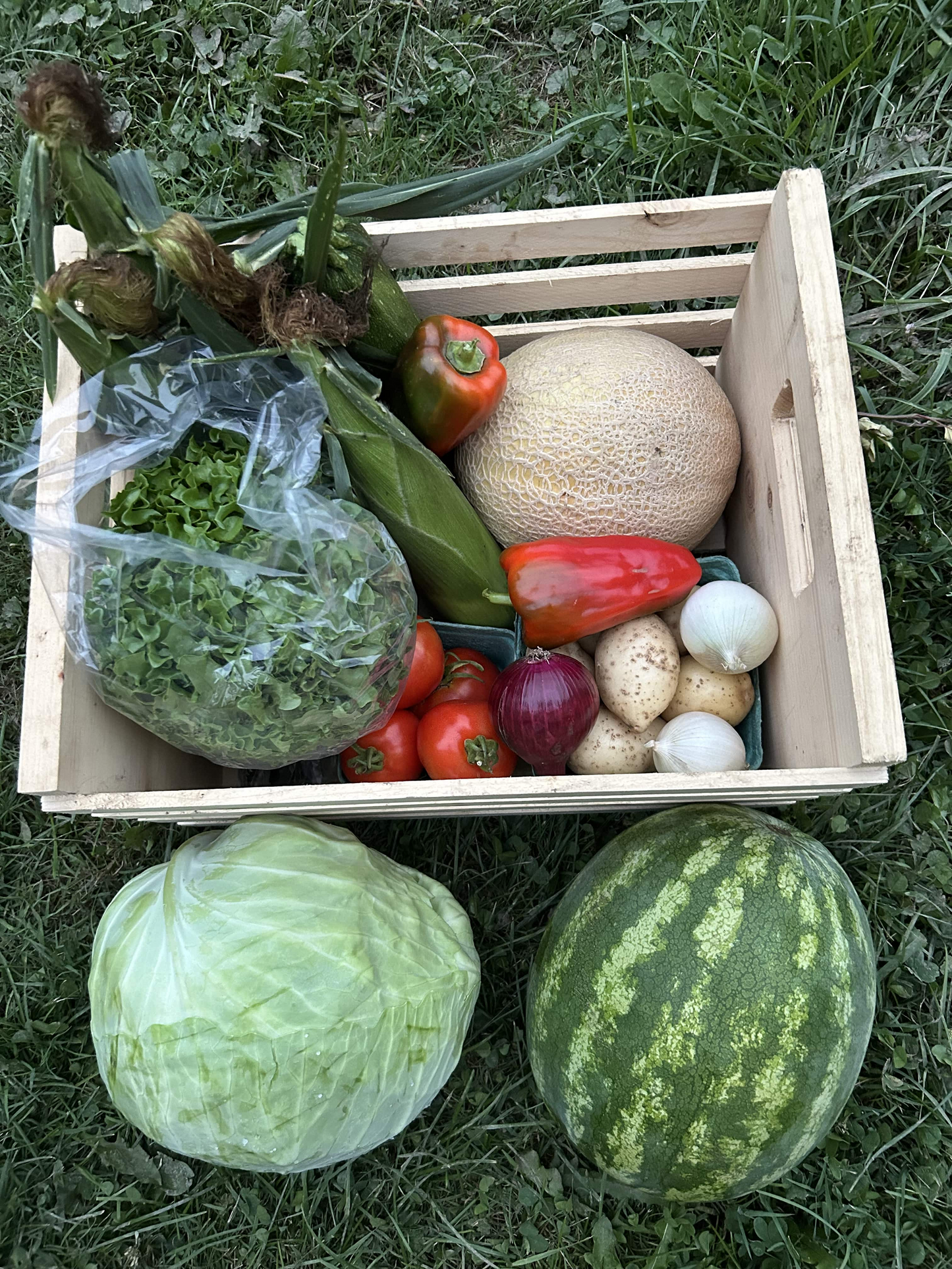 2025 One-Time Produce Box