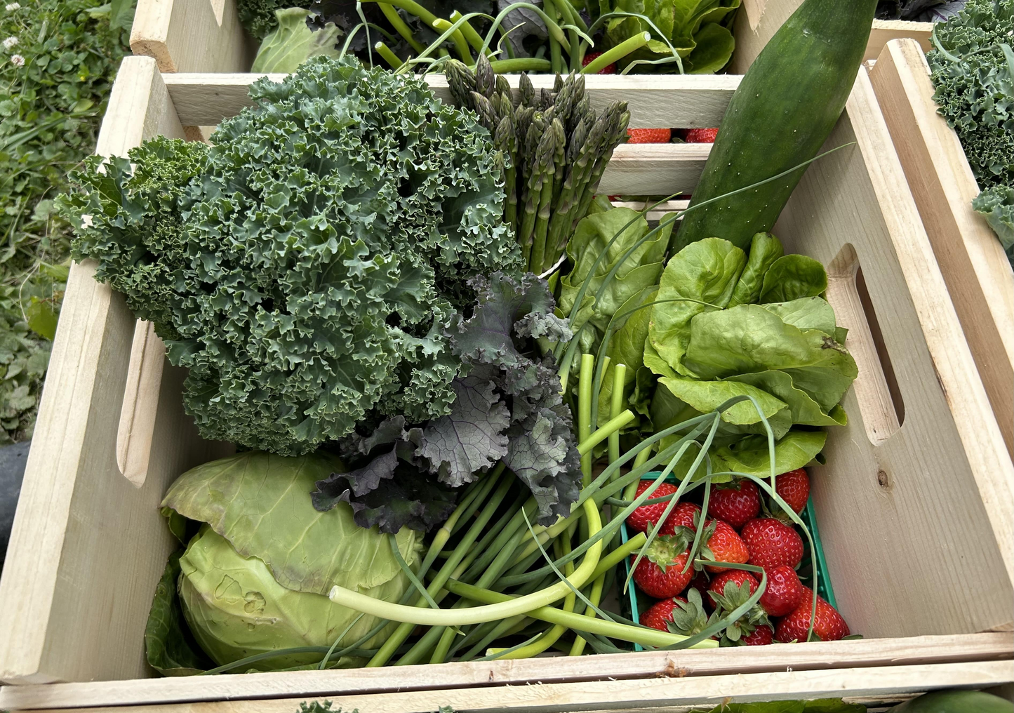 2025 One-Time Produce Box