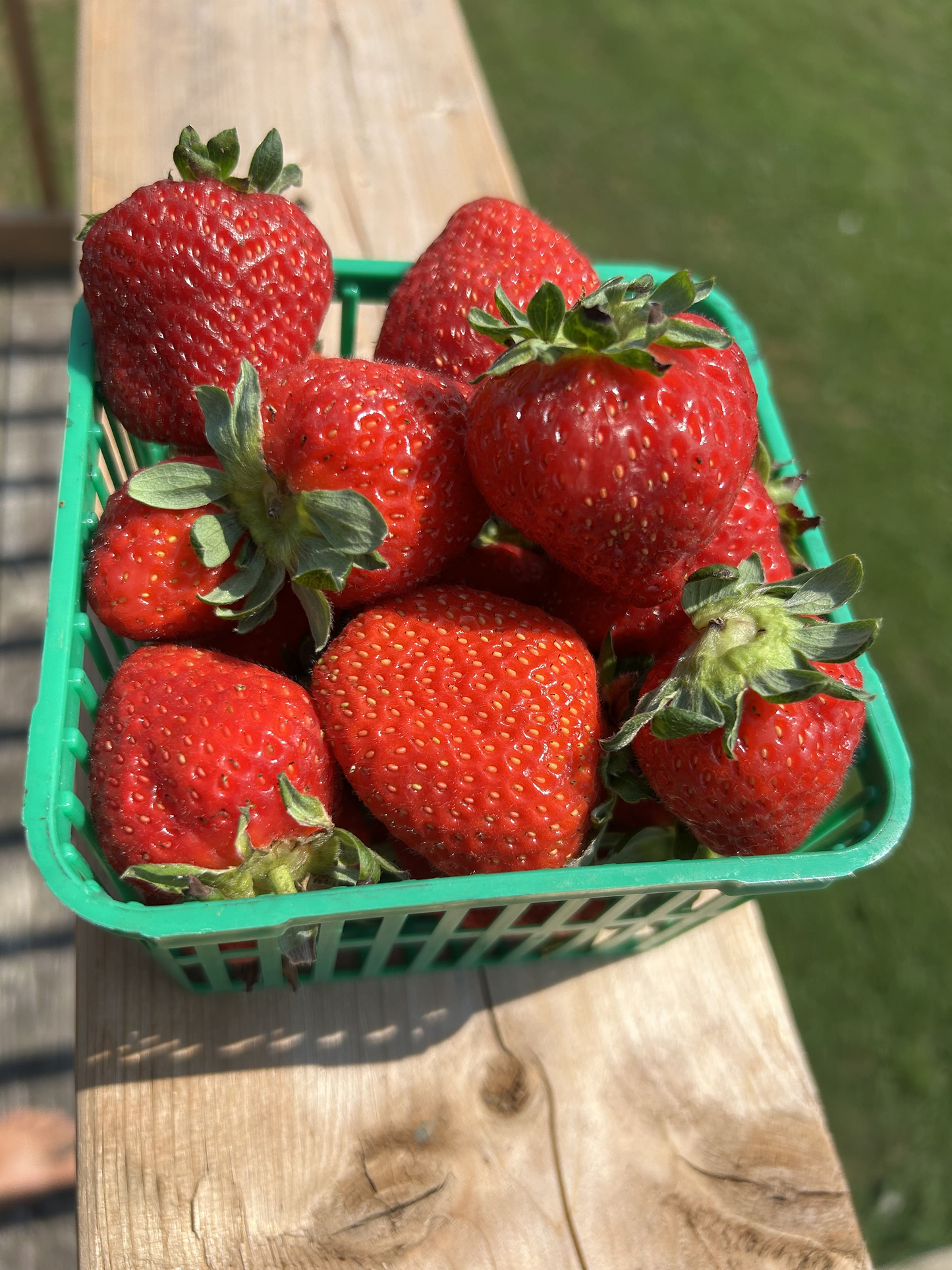Strawberries