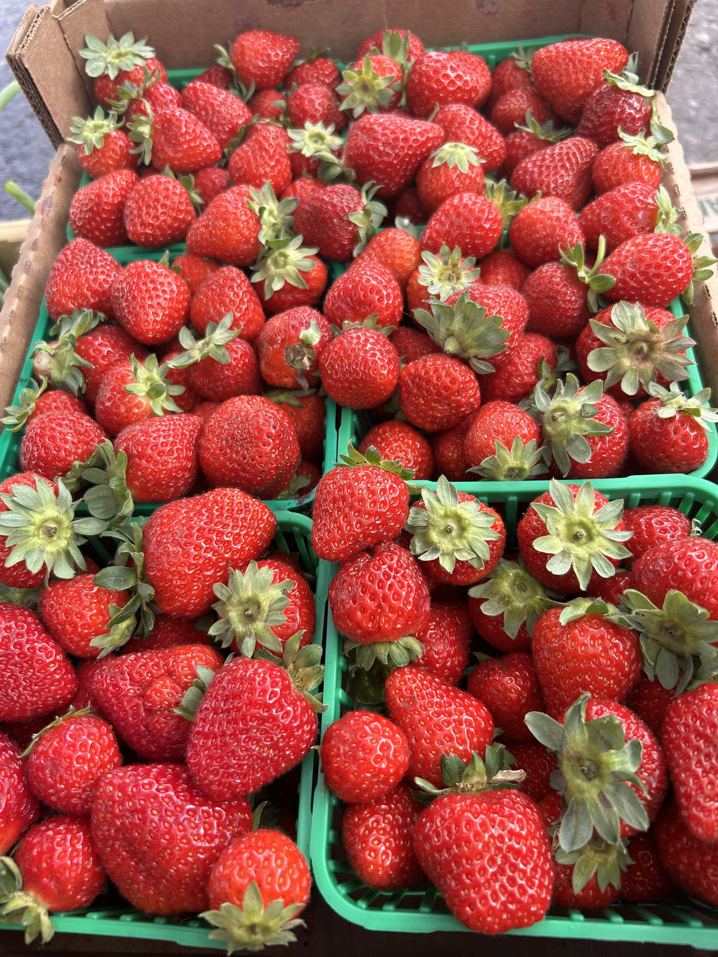 Strawberries
