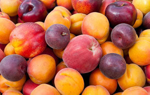 Varity pack of Niagara Stone Fruit