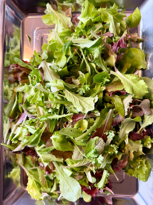 Baby mesclun salad mix.