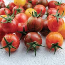 Bubble Bee Cherry Tomatoes