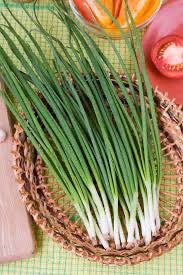 Green Onion